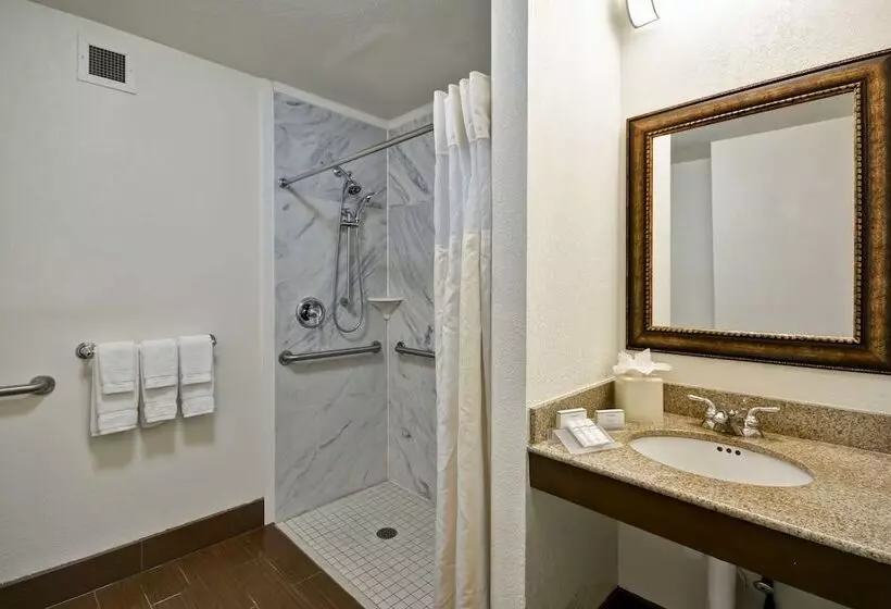 Standard-invahuone, Hilton Garden Inn Sarasotabradenton Airport