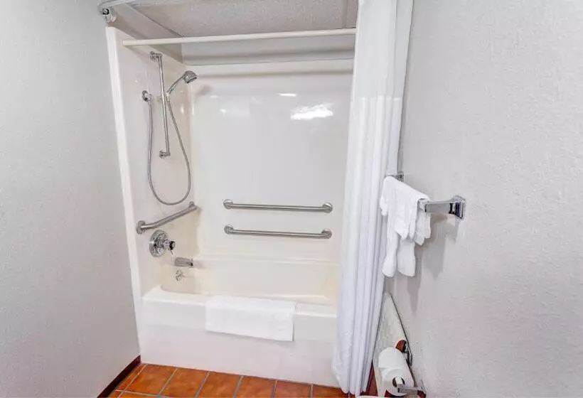 اتاق استاندارد با تخت بزرگ, Quality Inn West