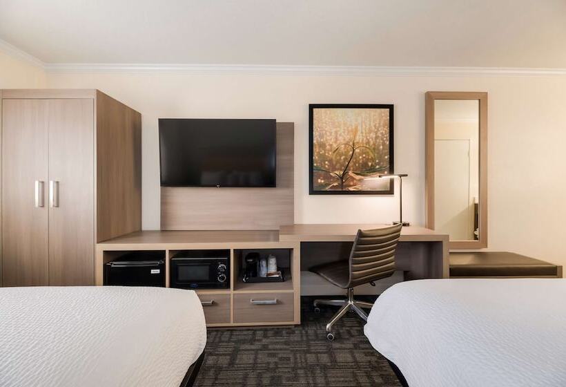 غرفه قياسيه سريرين مزدوجين, Comfort Inn