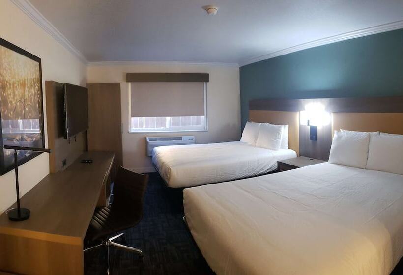 غرفه قياسيه سريرين مزدوجين, Comfort Inn