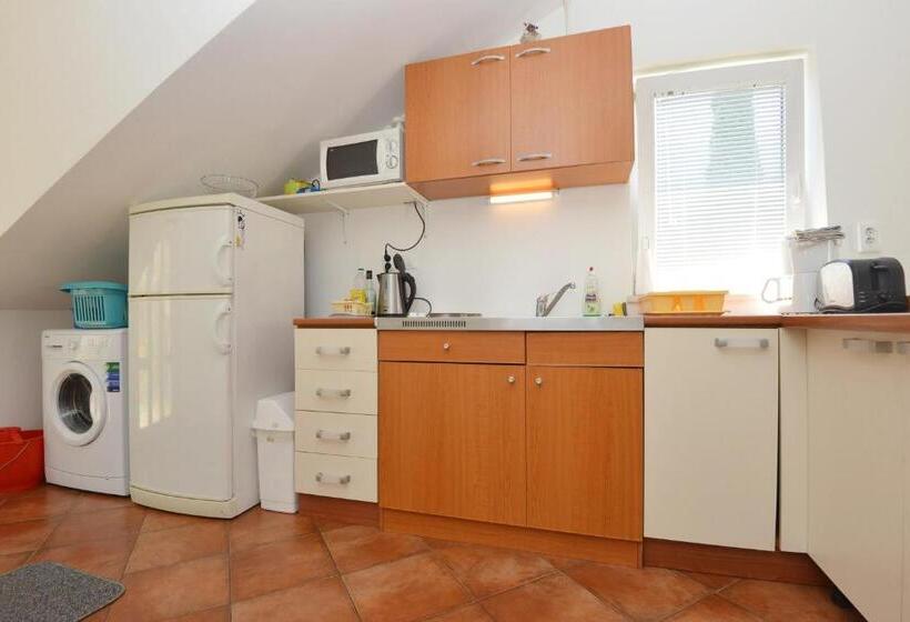 דירת חדר עם נוף לים ומרפסת, Villa Elly