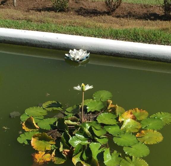 غرفة قياسية مطلّة علي البحر, Casa Grande São Vicente