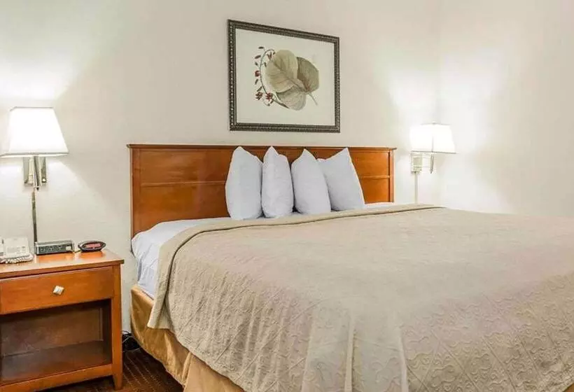اتاق استاندارد با تخت بزرگ, Baymont By Wyndham Indianapolis East