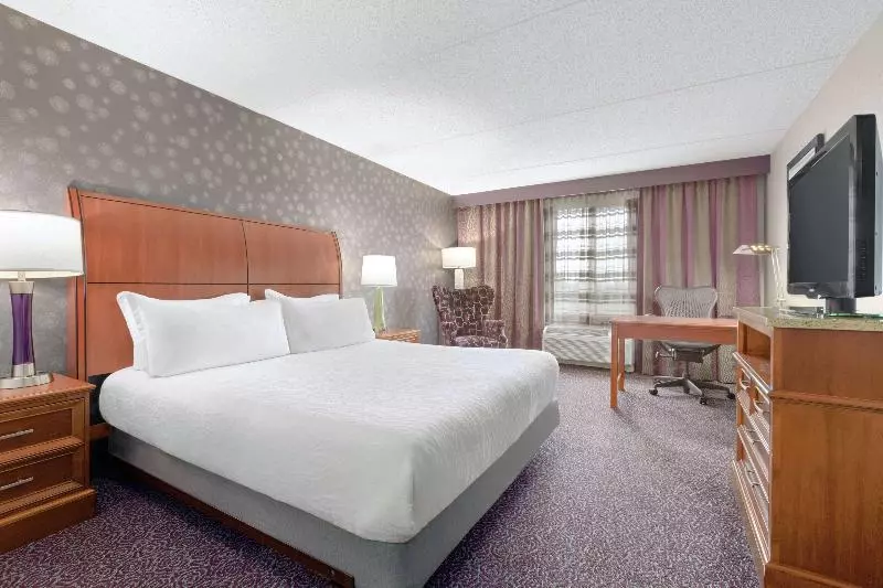 キングサイズベッドのスタンダードルーム, Hilton Garden Inn Springfield, Ma