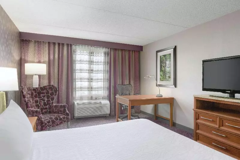 キングサイズベッドのスタンダードルーム, Hilton Garden Inn Springfield, Ma