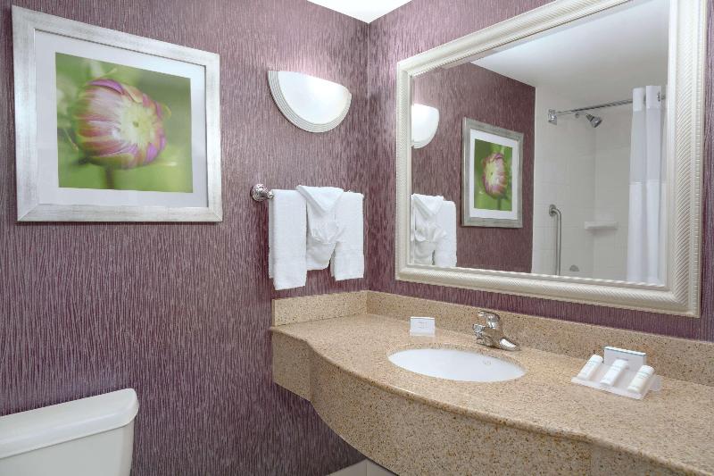 キングサイズベッドのスタンダードルーム, Hilton Garden Inn Springfield, Ma