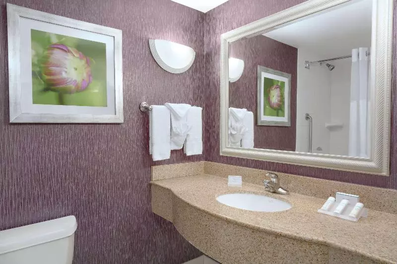 キングサイズベッドのスタンダードルーム, Hilton Garden Inn Springfield, Ma