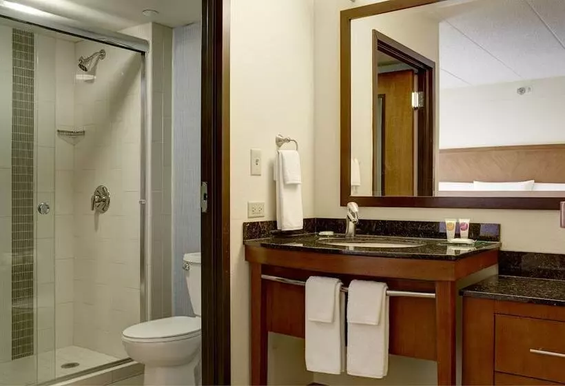 ２ダブルベッドのスタンダードルーム, Hyatt Place Nashville/hendersonville