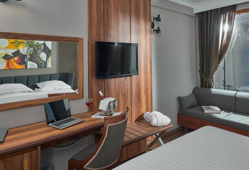 غرفة قياسية مطلة على الجبل, Royal Hotel Thessaloniki