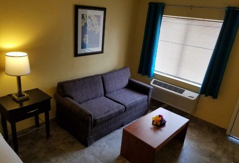 스탠다드 룸 킹사이즈 침대, Shining Light Inn & Suites