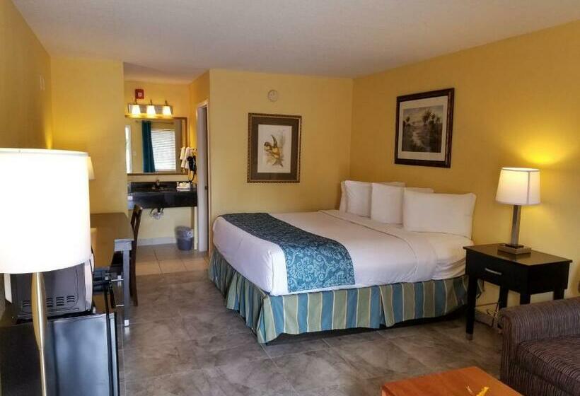 스탠다드 룸 킹사이즈 침대, Shining Light Inn & Suites