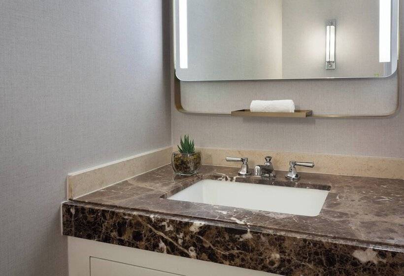 景色の見えるダブルベッドスタンダードルーム, The Ritzcarlton, Fort Lauderdale