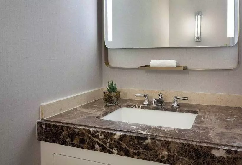 اتاق استاندارد با تخت دوبل و چشم‌انداز, The Ritzcarlton, Fort Lauderdale