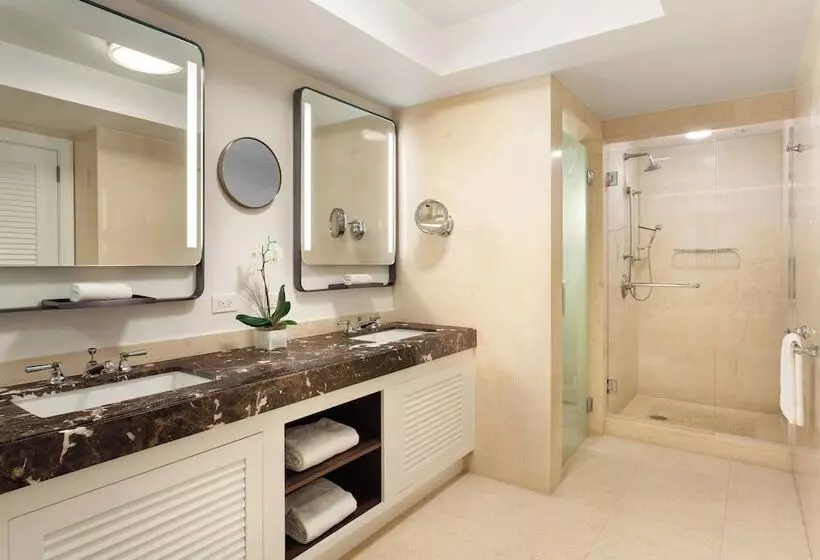 اتاق استاندارد با تخت دوبل و چشم‌انداز دریا, The Ritzcarlton, Fort Lauderdale