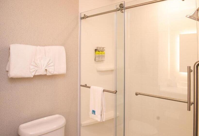 חדר דחוקס עם מיטת קינג, Holiday Inn Express Hotel & Suites Chester, An Ihg