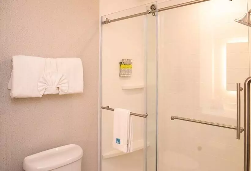 スタンダードルーム, Holiday Inn Express Hotel & Suites Chester, An Ihg