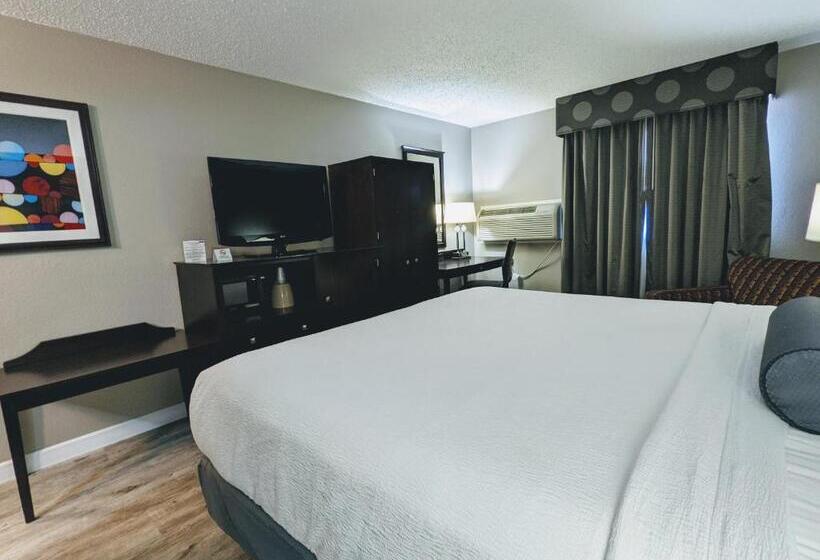 Standard Szoba King Size Bed, Spark by Hilton Eden Prairie