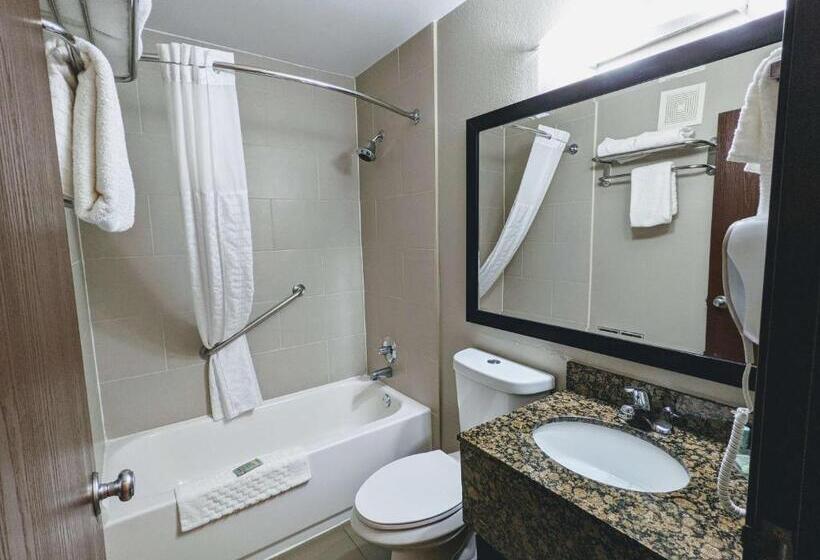 Suite King Size Bed, Spark by Hilton Eden Prairie