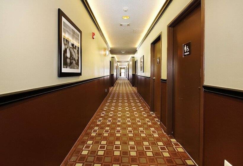 Люкс, Best Western Plus Seawall Inn & Suites By The Beach