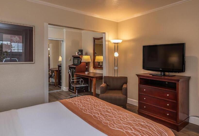 Quarto Estandar, Blu Pacific