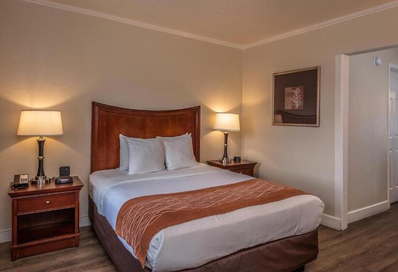 Номер Стандарт, Blu Pacific