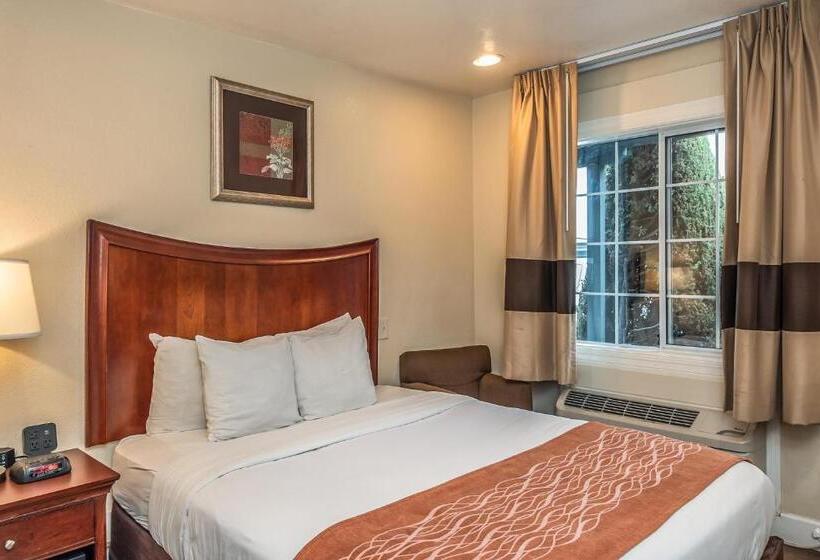 Quarto Estandar, Blu Pacific