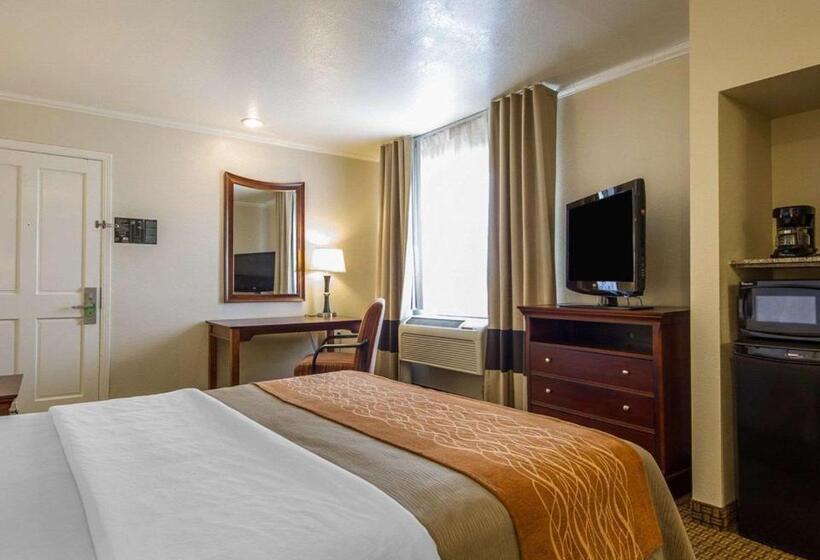 Номер Стандарт Кровать Кинг Адаптированный для Инвалидов, Blu Pacific