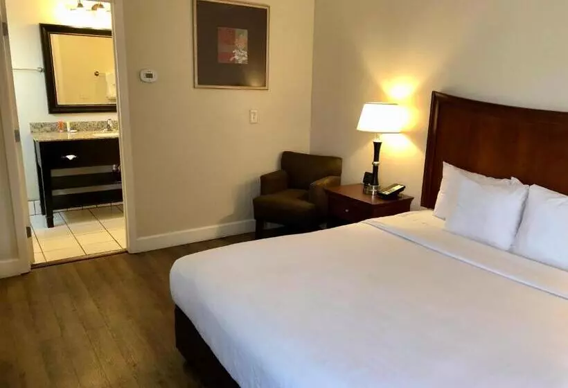 Standard-huone, Blu Pacific