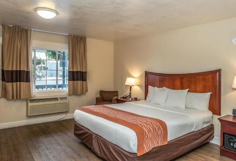 Номер Стандарт, Blu Pacific