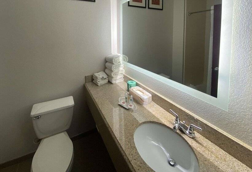 Люкс, Spark By Hilton Round Rock