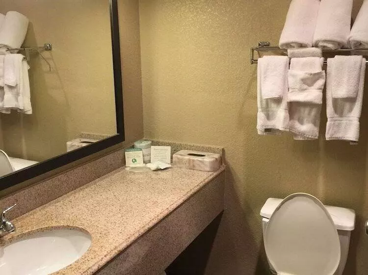 スイート, Spark By Hilton Round Rock