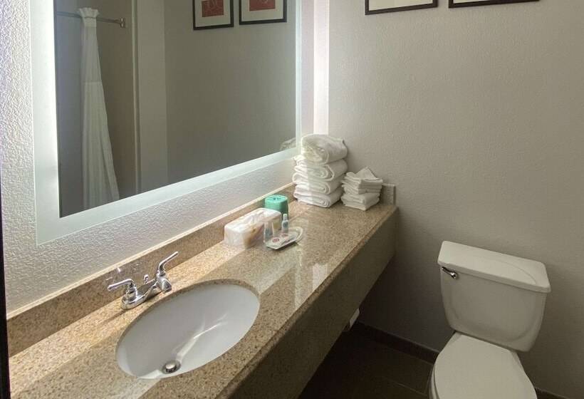 Люкс, Spark By Hilton Round Rock