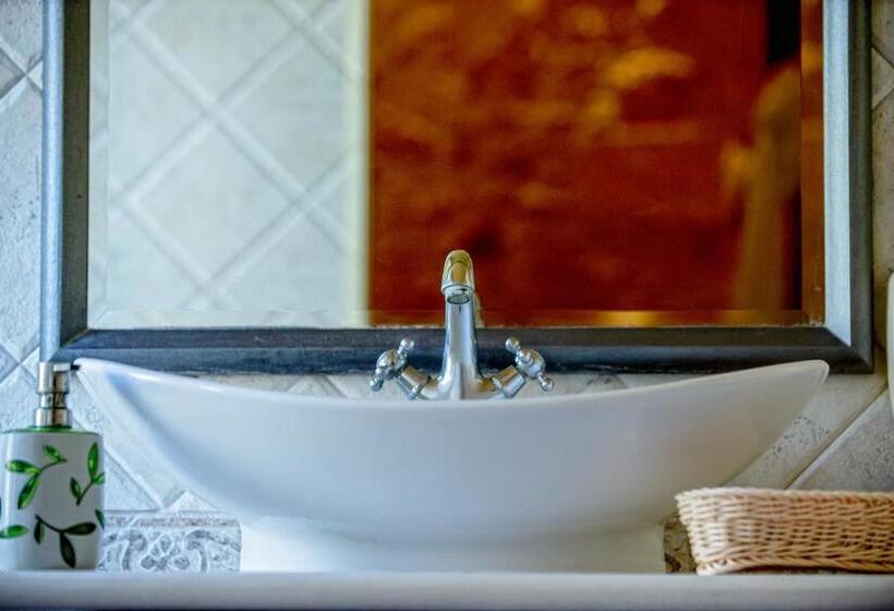 スタンダードルーム, Leo