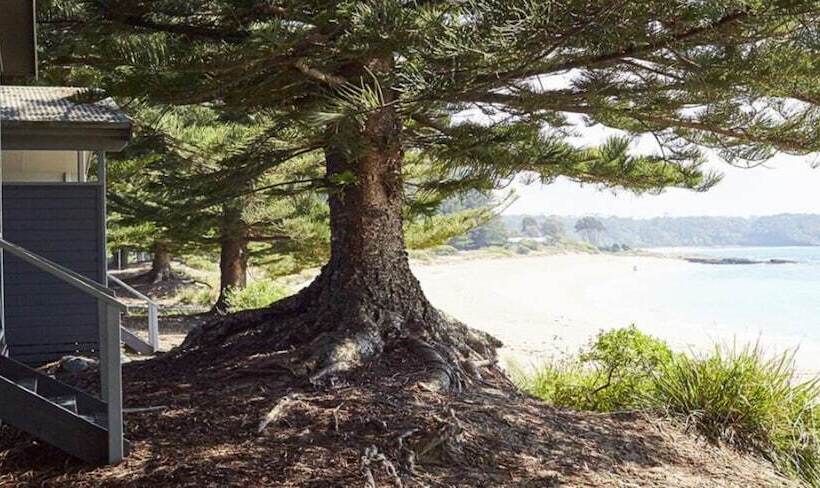 וילת חדר שינה 1 עם נוף לים, Nrma Murramarang Beachfront Holiday Resort