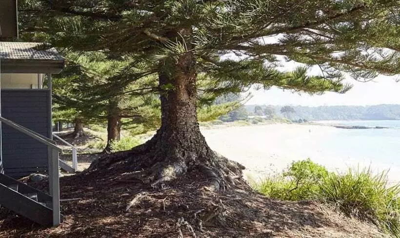 オーシャンビューの１ベッドルームビラ, Nrma Murramarang Beachfront Holiday Resort