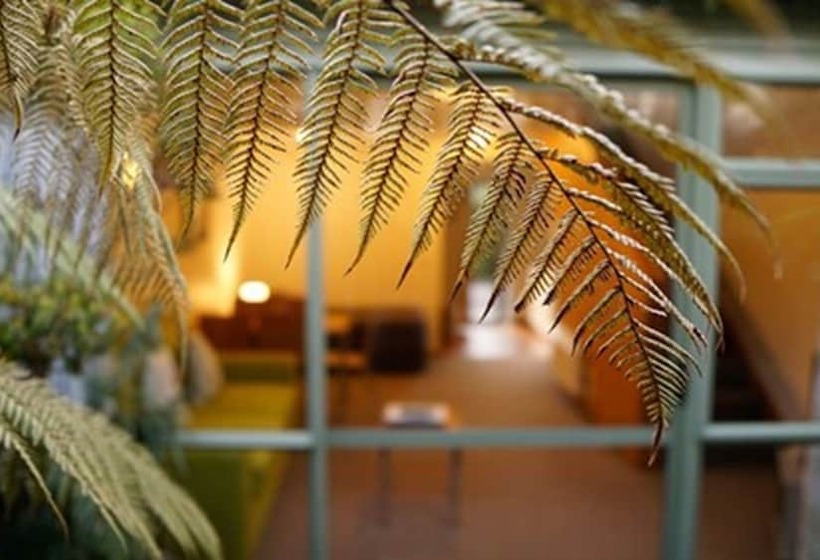 带1个卧室的公寓, Punga Grove