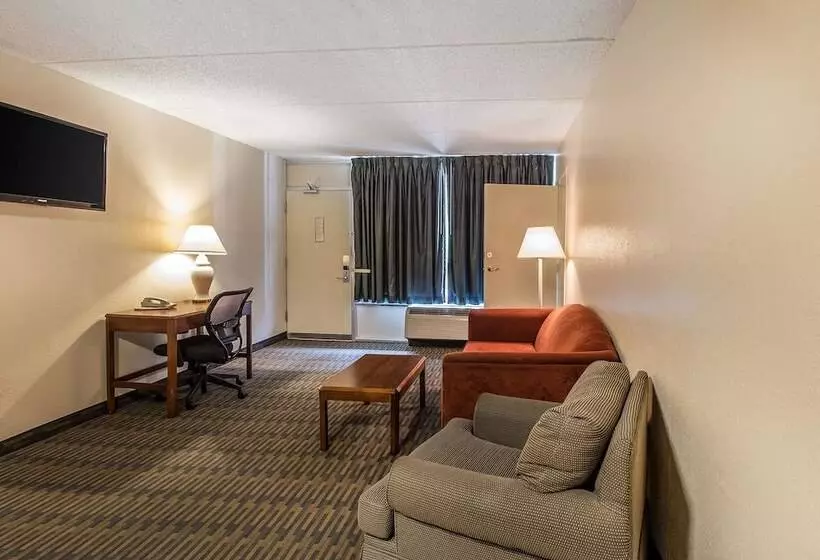 スイート, Quality Inn & Suites Easley   Greenville