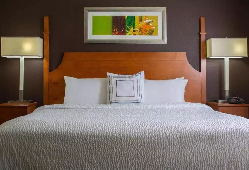 استودیو استاندارد با تخت کینگ, Residence Inn Sandestin At Grand Boulevard