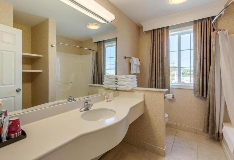 高级大房间, Ogunquit Hotel And Suites