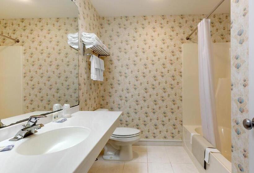 标准间, Ogunquit Hotel And Suites