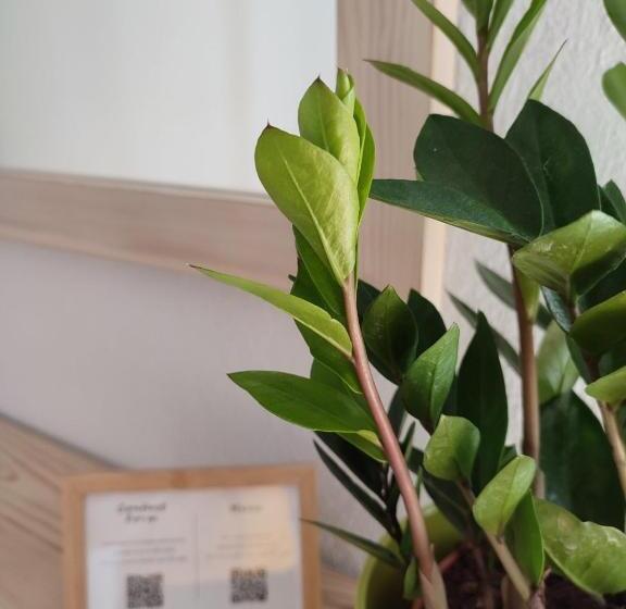 标准间带阳台, Marabou