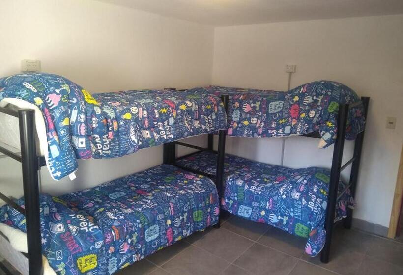 اتاق استاندارد چهار تخته, Temiscira Hostel