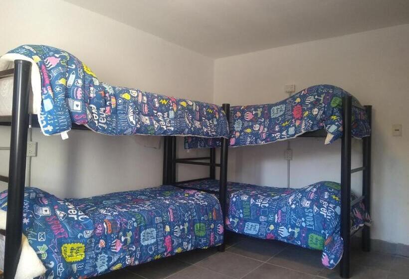 اتاق استاندارد چهار تخته, Temiscira Hostel