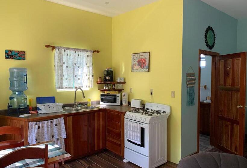 خانه 1 خوابه, Lily Pad Ii