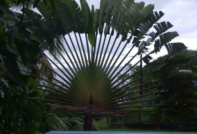 1ベッドルームアパートメント, Bluebelize B&b