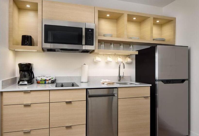 חדר סטודיו סטנדרד, Towneplace Suites By Marriott Plant City