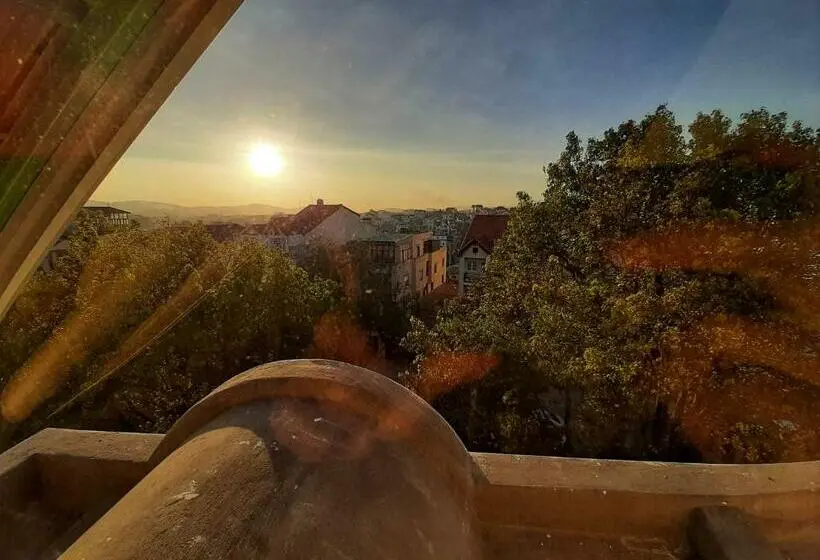 اتاق استاندارد, Rinny
