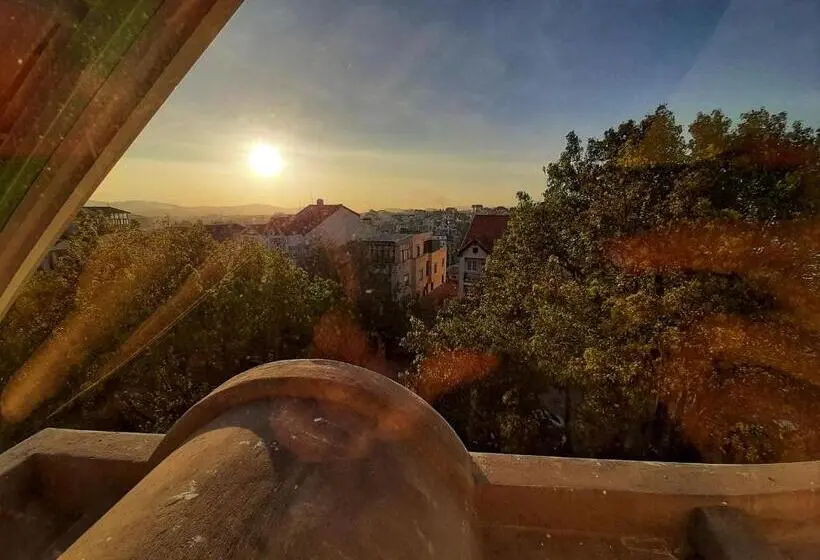اتاق اکونومی, Rinny