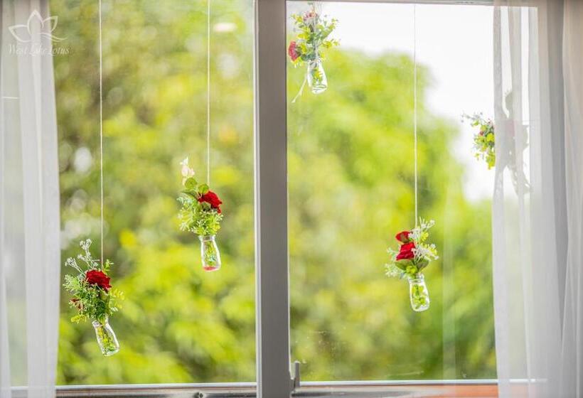 اتاق لوکس, The Lakeview  West Lake Lotus Apartments