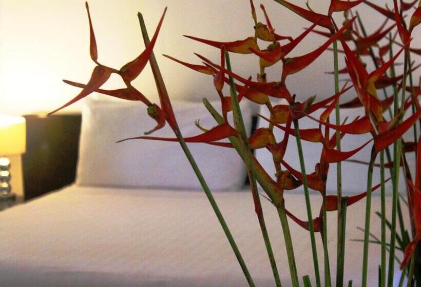 Полулюкс, Albrook Inn